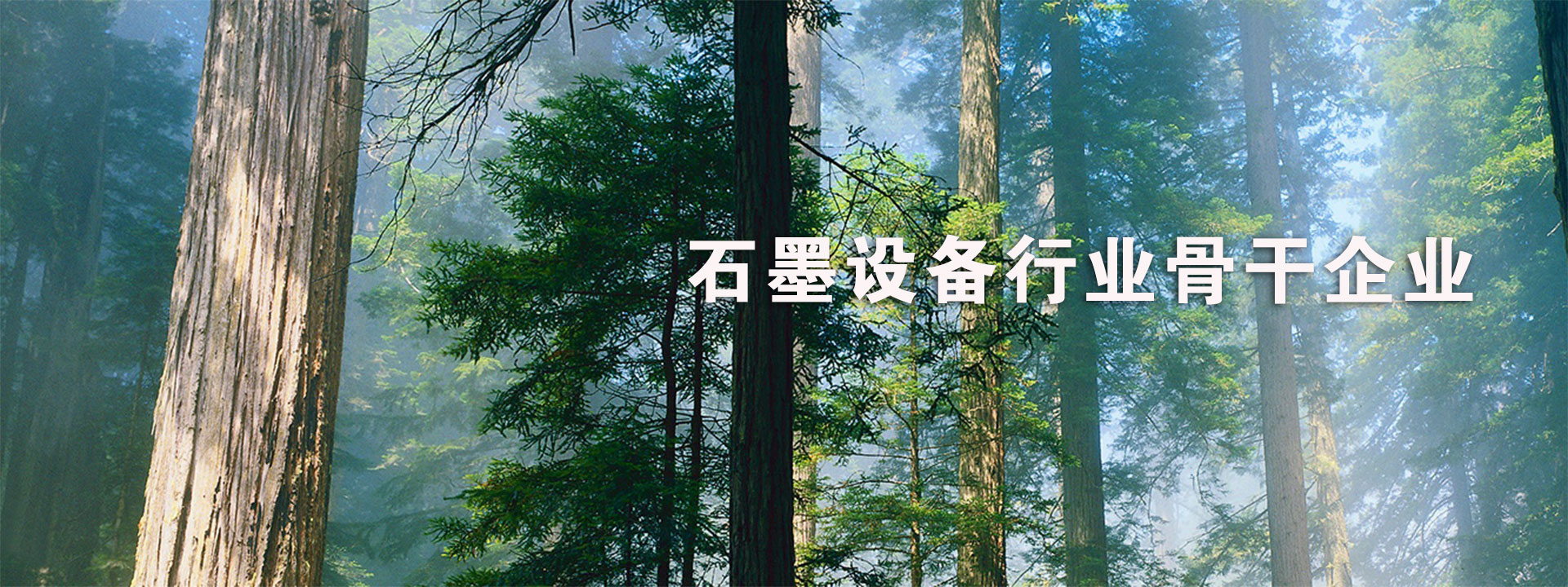 山東省萊蕪泰岳冶金機(jī)械有限公司